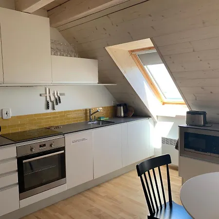 Stylovy Apartman C. 8 U Venuse, Pavlov U Mikulova Exterior photo