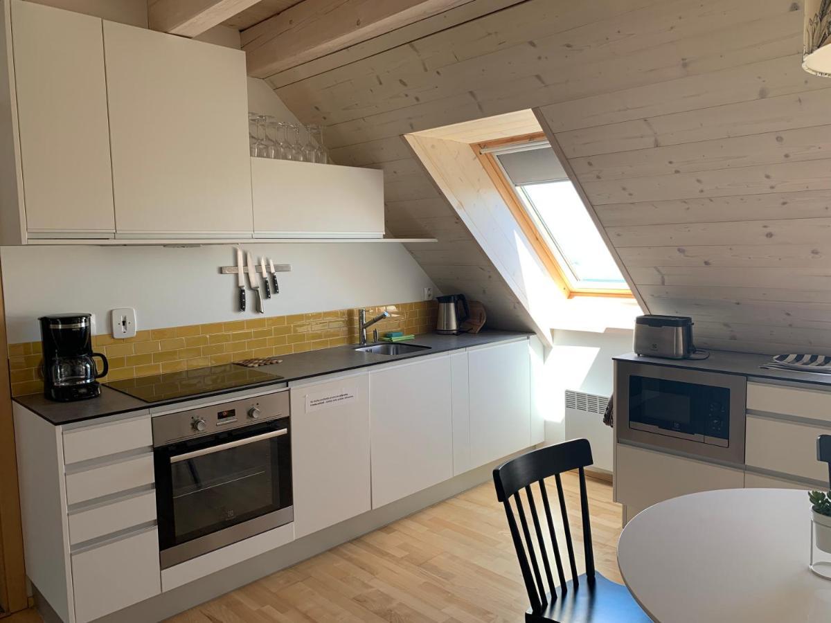 Stylovy C. 8 U Venuse, U Mikulova Apartament